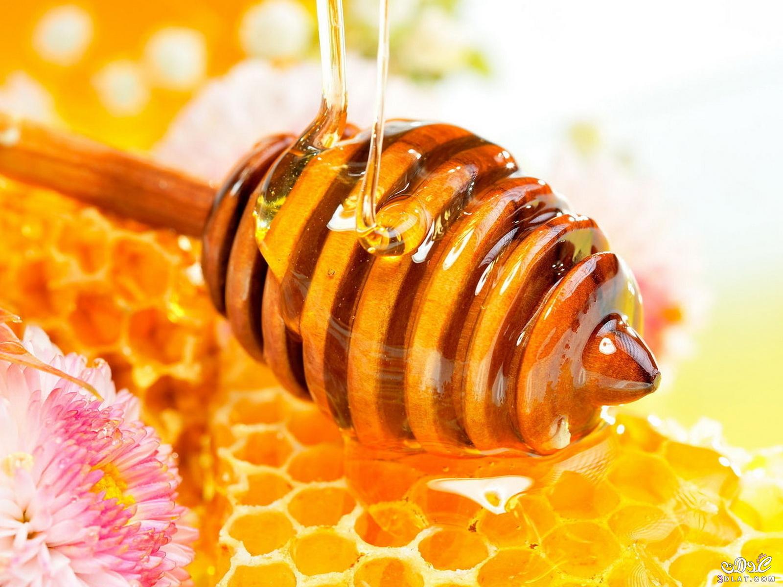 الفرق بين العسل الطبيعي ( البري ) والعسل الصناعي,أنواع عسل النحل الطبيعي,أضرار العسل المغشوش