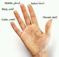 هل تعلم سبب اختلاف الأصابع  عن بعضها في الطول ؟