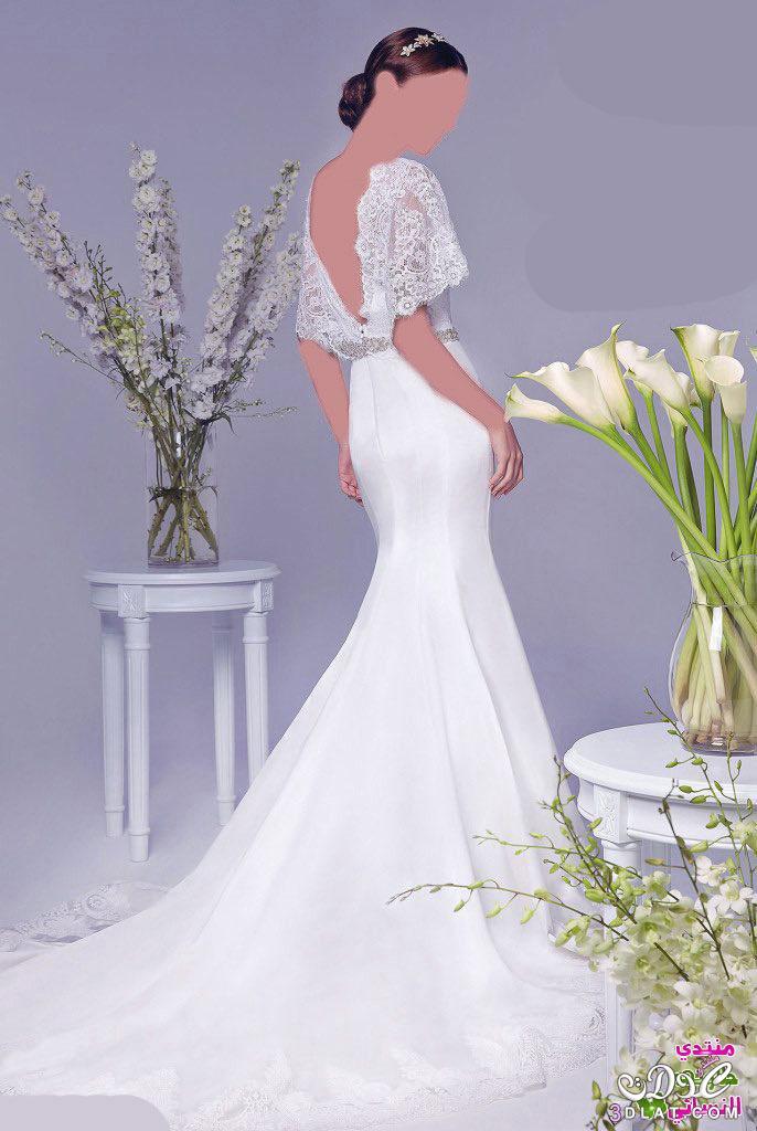 فساتين زفاف أنيقة جداً للعروس المثالية،تألقى فى زفافكـ بأرق فستان ،فساتين عالمية.شيك