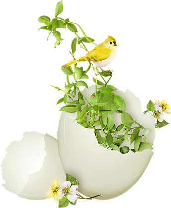 سكرابز بيض ملون ، صور بيض ملون للتصميم بخلفيه شفافه بدون تحميل