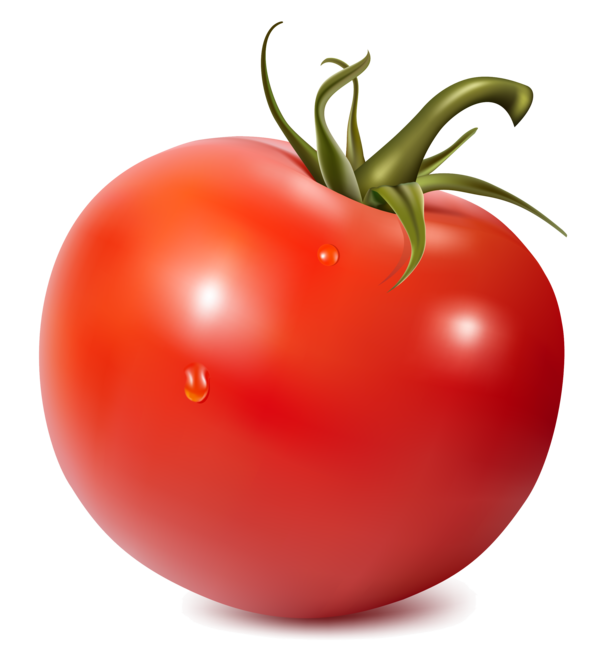 سكرابز طماطم للتصميم للفوتوشوب بدون تحميل ، سكرابز طماطم بخلفيه شفافه حصري