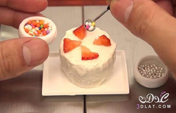 بالصور : ياباني يصنع أصغر كيكة في العالم,شاهد صور أصغر كيكة في العالم,كيكة غريبة جدا