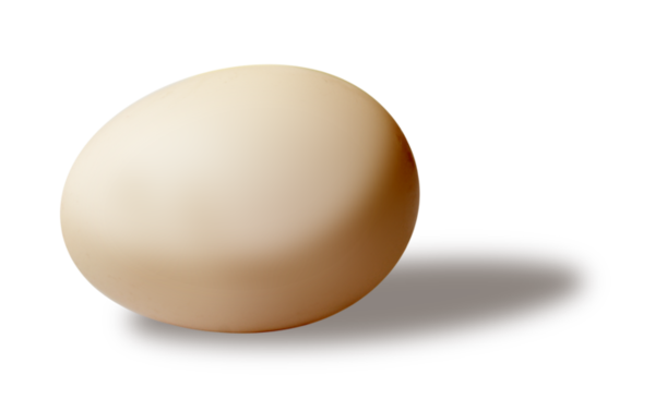 سكرابز بيض ملون ، صور بيض ملون للتصميم بخلفيه شفافه بدون تحميل