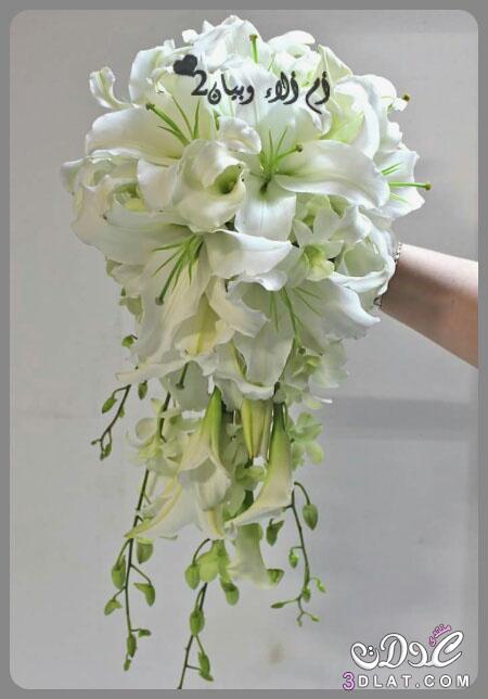 بوكيهات رائعة من الورود الطبيعية للعروس,اجمل مسكات ورد لعروس 2024,للعروس بوكيهات ورد