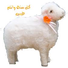 اجمل صور خروف العيد 2024 خرفان مضحكة لعيد الاضحى المبارك