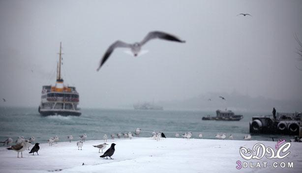 الثلوج في تركيا اليوم بعدستي