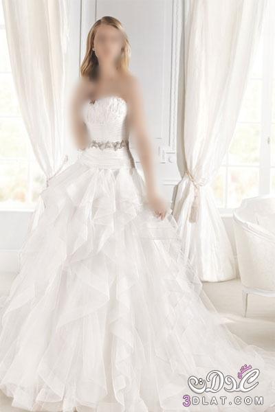 Wedding Dresses 2024