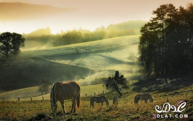 صور طبيعة مذهلة,صور طبيعية من جميع انحاء العالم,مجموعة صور رائعة,صور طبيعية2025