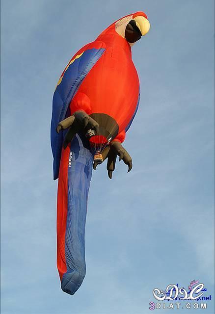 صور اجمل اشكال البالونات الطائره - منطاد الهواء بالون - منطاد طائر على شكل بغبغان - نحل - ضفدع - بقره