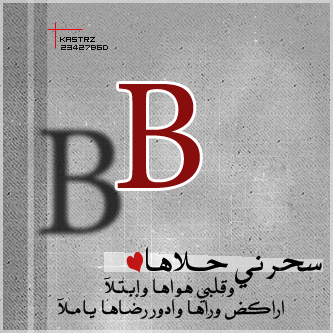 صور حرف b  صور رومانسيه لحرف b   أجمل خلفيات لحرف b  صور للأنستا والفيس لحرف b