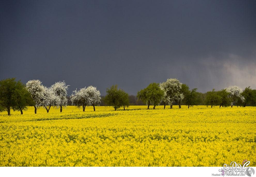 أجمل صور الربيع في العالم (15 صورة) صور ربيعية مررة بتجنن حلووة و يووة و حصرياا من تجميعي