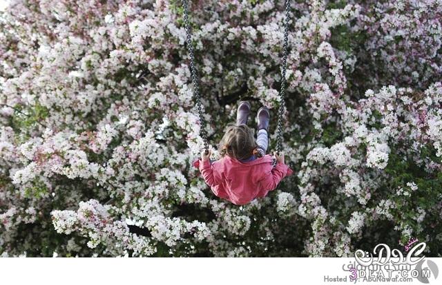 أجمل صور الربيع في العالم (15 صورة) صور ربيعية مررة بتجنن حلووة و يووة و حصرياا من تجميعي
