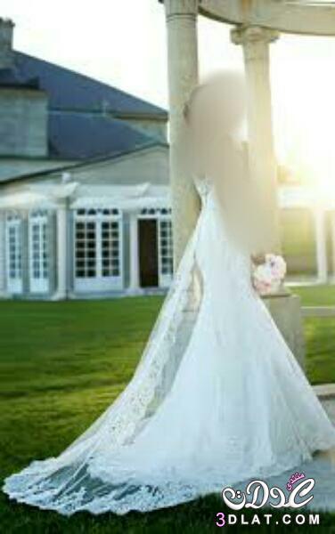 فساتين زفاف جديده ٢٠١٧.. فساتين زفاف للعروس روعه.. اجمل صور فساتين زفاف للعروس