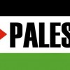 كلمات جزائرية فلسطينية